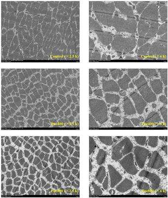 Radix Puerarin Extract (Puerarin) Could Improve Meat Quality of Heat-Stressed Beef Cattle Through Changing Muscle Antioxidant Ability and Fiber Characteristics